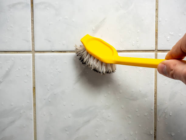 Best Local Mold Removal Service  in Pacheco, CA