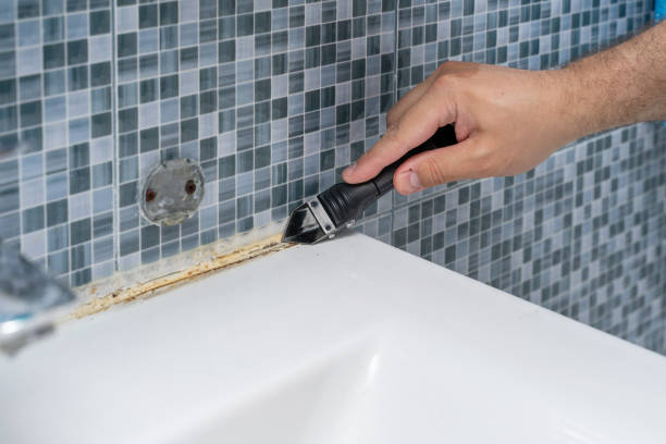 Best Certified Mold Removal  in Pacheco, CA