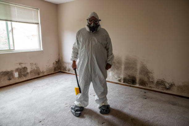 Best Mold Cleaning Services  in Pacheco, CA